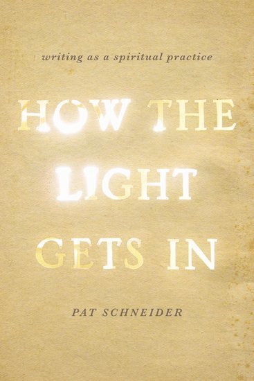 Pat Schneider - How the Light Gets In, Häftad