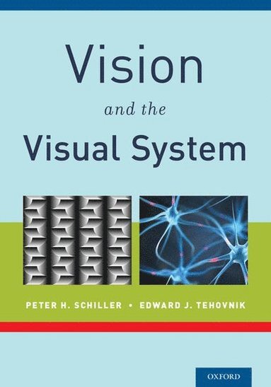 bokomslag Vision and the Visual System