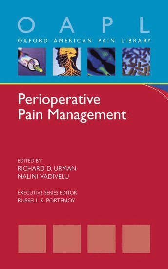 bokomslag Perioperative Pain Management