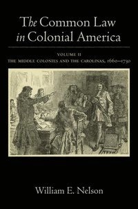bokomslag The Common Law in Colonial America