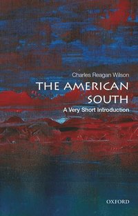 bokomslag The American South: A Very Short Introduction