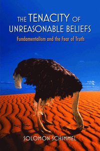 bokomslag The Tenacity of Unreasonable Beliefs