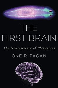 bokomslag The First Brain