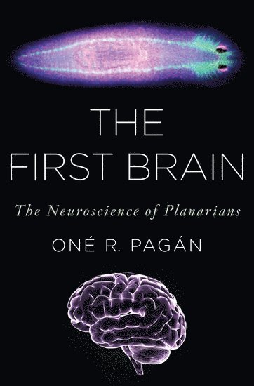 bokomslag First Brain