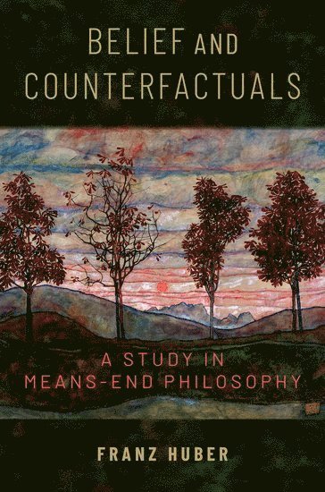 bokomslag Belief and Counterfactuals