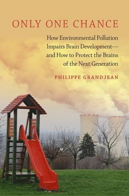 Philippe Grandjean - Only One Chance: How Environmental Pollution Impairs Brain Development - And How to Protect the Brains of the Next Generation, Inbunden