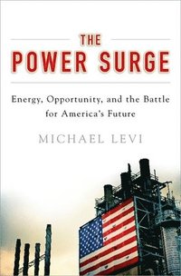 bokomslag The Power Surge: Energy, Opportunity, and the Battle for America's Future