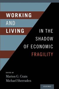 bokomslag Working and Living in the Shadow of Economic Fragility