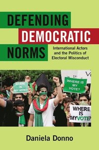 bokomslag Defending Democratic Norms