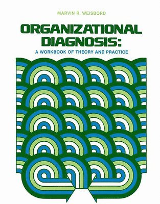 Organizational Diagnosis: A Workbook of Theory and Practice 1