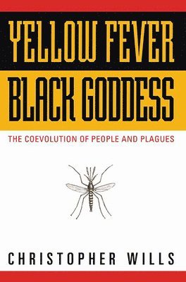 bokomslag Yellow Fever, Black Goddess