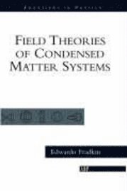bokomslag Field Theories of Condensed Matter Systems