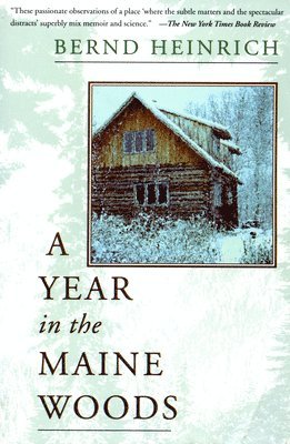Bernd Heinrich - Year In The Maine Woods, Häftad