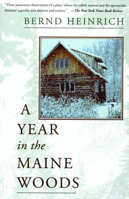 A Year In The Maine Woods 1