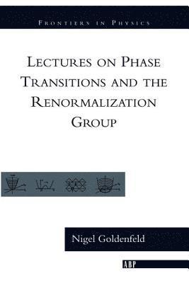 bokomslag Lectures On Phase Transitions And The Renormalization Group