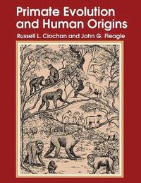 bokomslag Primate Evolution and Human Origins