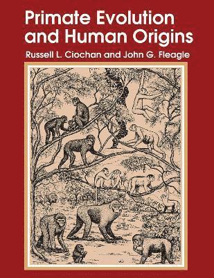 Russell L. Ciochon - Primate Evolution and Human Origins, Häftad