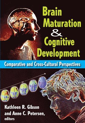 Brain Maturation and Cognitive Development 1
