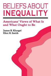 bokomslag Beliefs about Inequality