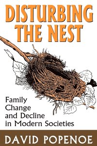 bokomslag Disturbing the Nest