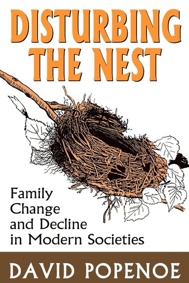 bokomslag Disturbing the Nest
