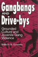 bokomslag Gangbangs and Drive-Bys