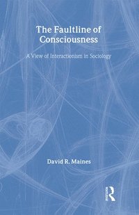 bokomslag The Faultline of Consciousness