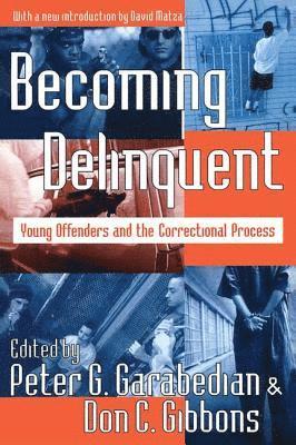 bokomslag Becoming Delinquent
