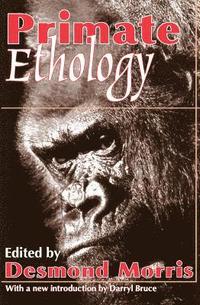 bokomslag Primate Ethology