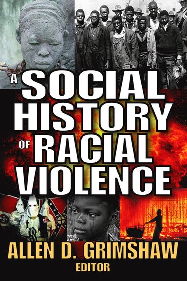 bokomslag Social History of Radical Violence