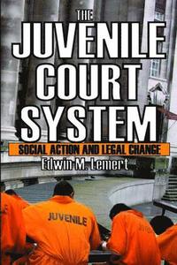 bokomslag Juvenile Court System