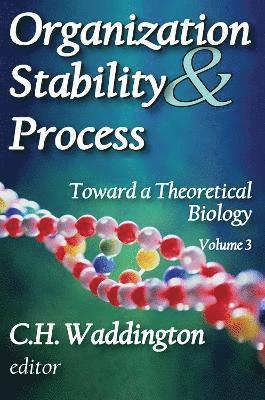 Organization Stability and Process 1