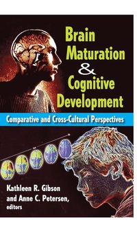 bokomslag Brain Maturation and Cognitive Development