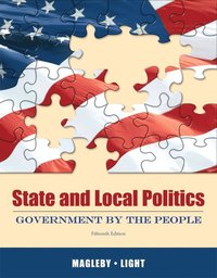 bokomslag State and Local Politics