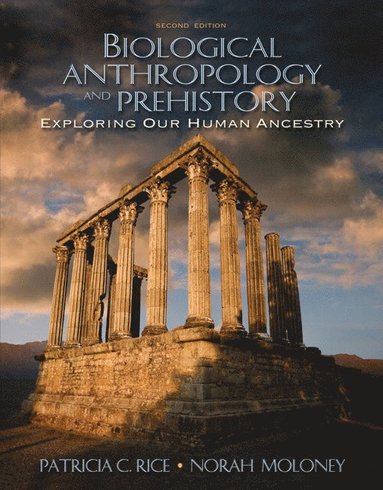 bokomslag Biological Anthropology and Prehistory