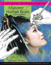bokomslag A Colorful Introduction to the Anatomy of the Human Brain: A Brain and Psychology Coloring Book
