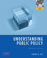 bokomslag Understanding Public Policy