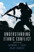 bokomslag Understanding Ethnic Conflict