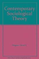 Contemporary Sociological Theory