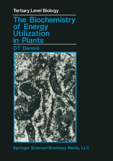 bokomslag Biochemistry of Energy Utilization in Plants