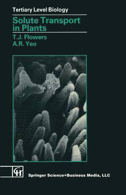 T.J. Flowers, A.R. Yeo, T. J. Flowers, A. R. Yeo - Solute Transport in Plants, Häftad