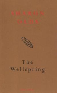 bokomslag The Wellspring