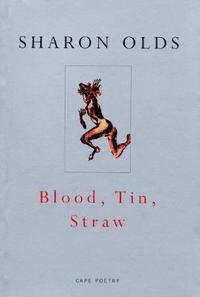 bokomslag Blood, Tin, Straw