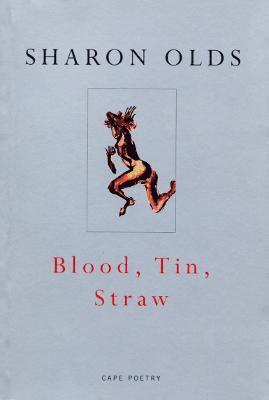 bokomslag Blood, Tin, Straw