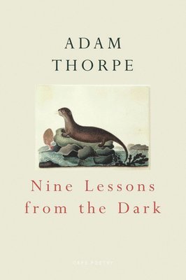 Adam Thorpe - Nine Lessons From The Dark, Häftad