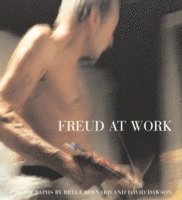 bokomslag Freud At Work