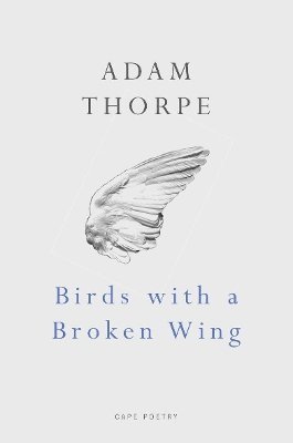 Adam Thorpe - Birds With A Broken Wing, Häftad