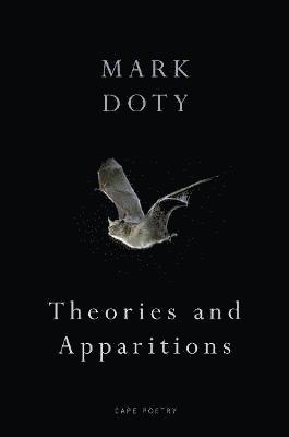 Theories and Apparitions 1