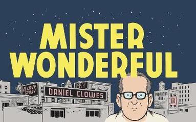 bokomslag Mister Wonderful