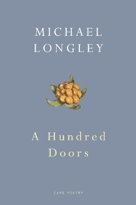 bokomslag A Hundred Doors